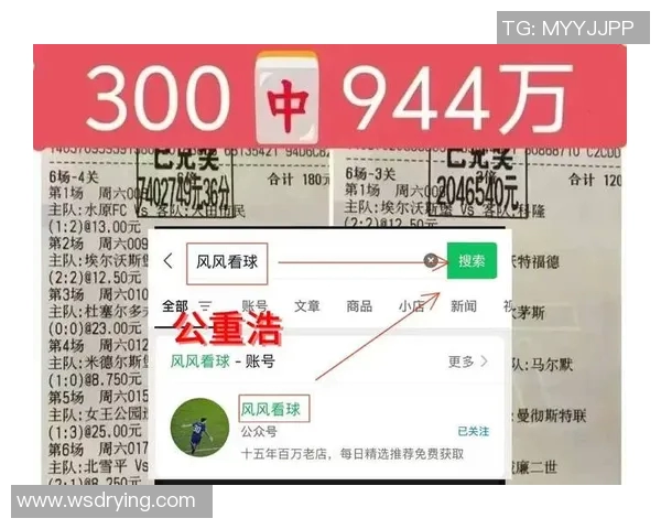 葡萄牙与匈牙利精彩对决百度云资源分享与赛后分析 葡萄牙与匈牙利精彩对决百度云资源分享与赛后分析
