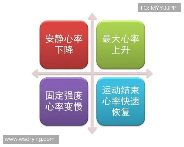运动员心率变化对运动表现与恢复的影响研究分析 运动员心率变化对运动表现与恢复的影响研究分析