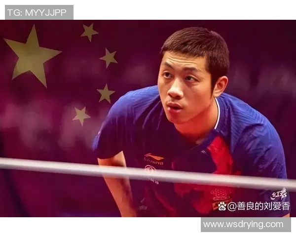 上海乒乓球队个人能力排名创新高引发关注与讨论