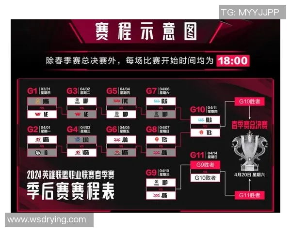 赛后分析：JDG与BLG对决中的战术博弈与团队协作探讨