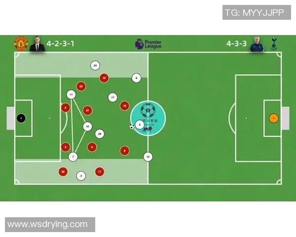 热刺英超球员全阵容与战术解析