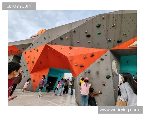 上海攀岩队状态引发热议球迷与专家各执己见探讨未来发展方向